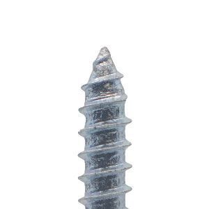 Self Tapping Screw