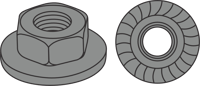 Serrated Flange Lock Nut