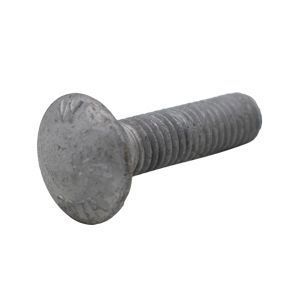 Carriage Bolt Hot Dipped GalvanizedCarriage Bolt, Galvanized
