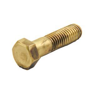 Brass Finished Hex Cap ScrewBrass Hex Cap Screw