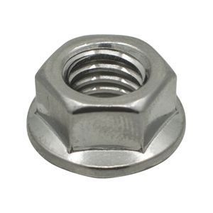 SS Serrated Flange Locking Nut | STS Industrial
